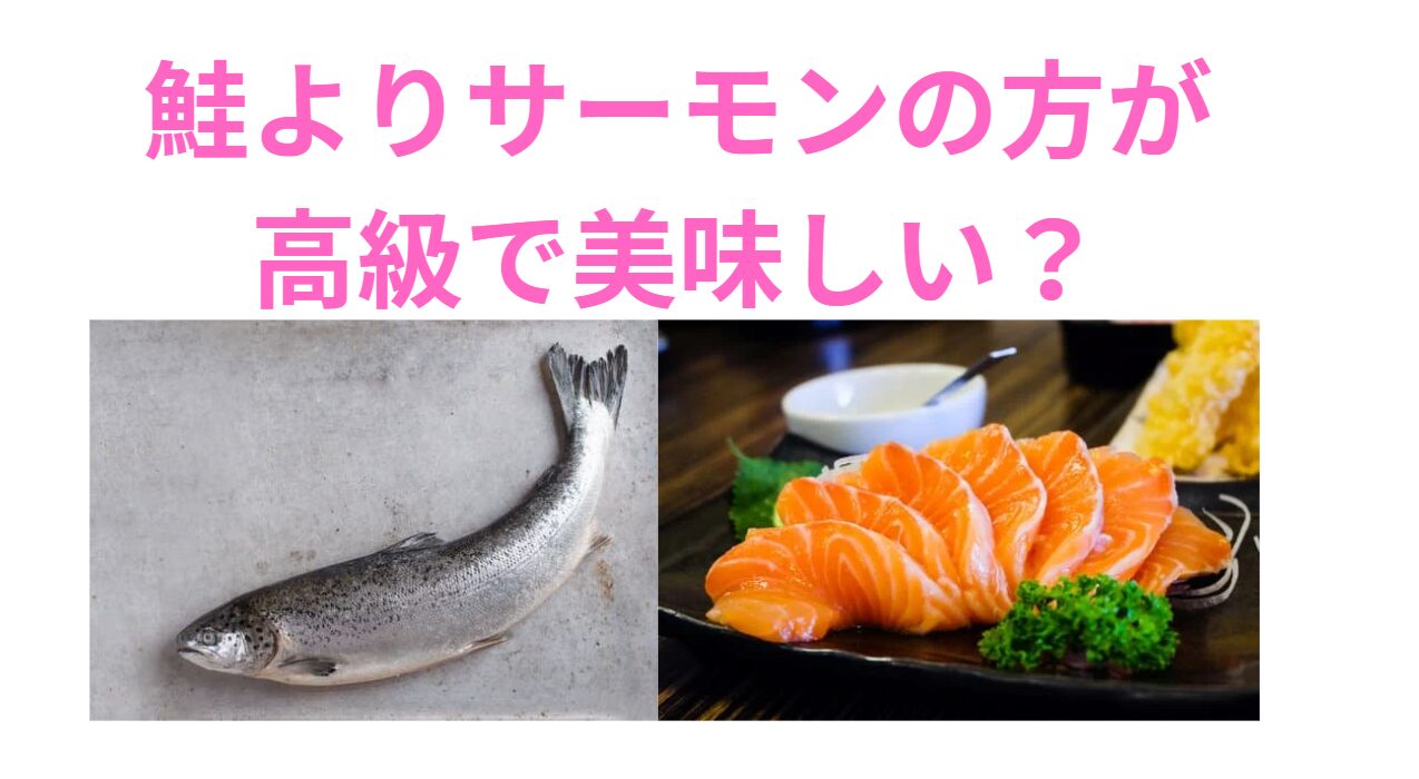 鮭よりサーモンの方が高級で美味しい？釣太郎