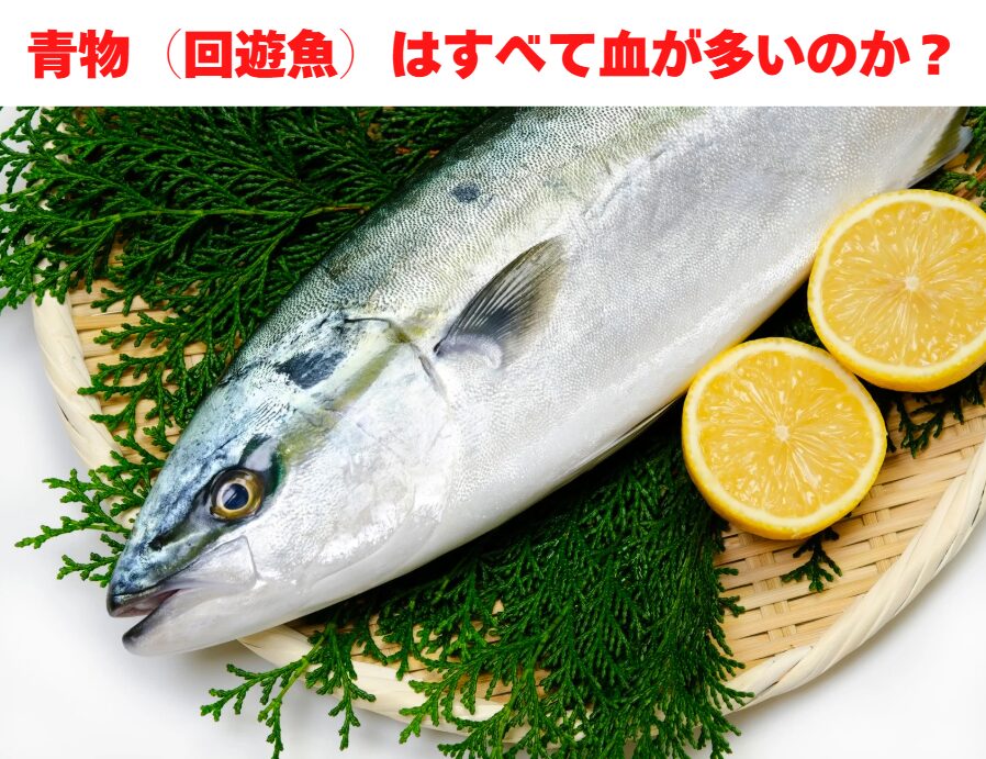 青物(回遊魚)はすべて血が多いのか?釣太郎