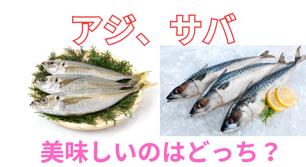 サバとアジ、美味しい魚はどっち?釣太郎