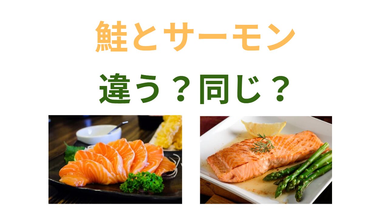 鮭は日本国内で獲れるものが多いのに対し、サーモンは主に海外からの輸入品。釣太郎