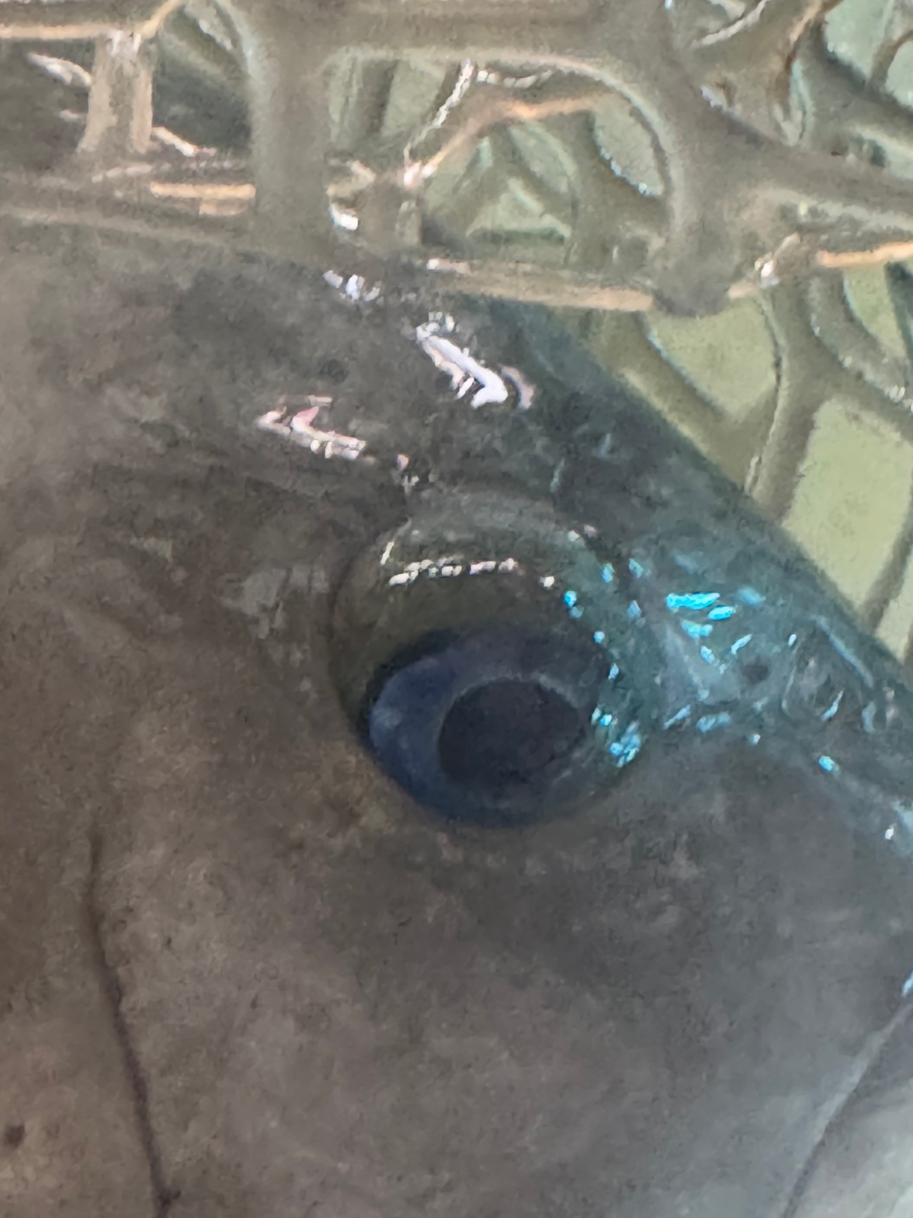 グレの目の虹彩には、グアニンという物質が含まれており、このグアニンが光を反射し、青い光を強調することで、目が青く見えると考えられています。釣太郎