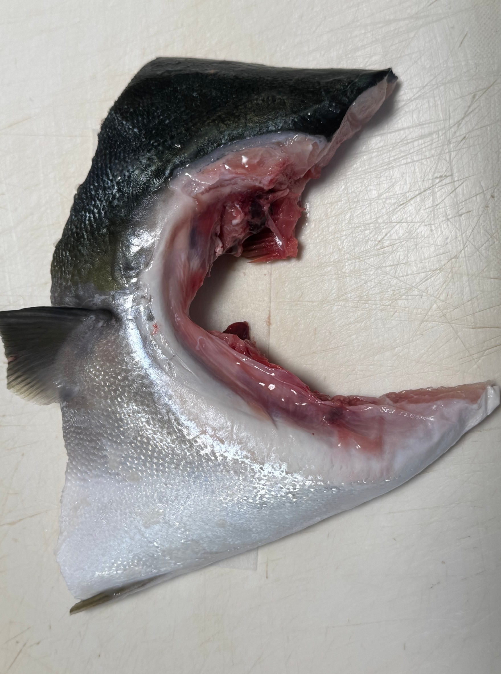 魚のカマとは、魚の首から肩の部分を指し、この部分は他の部位とは全く異なる風味と食感を持っています。釣太郎