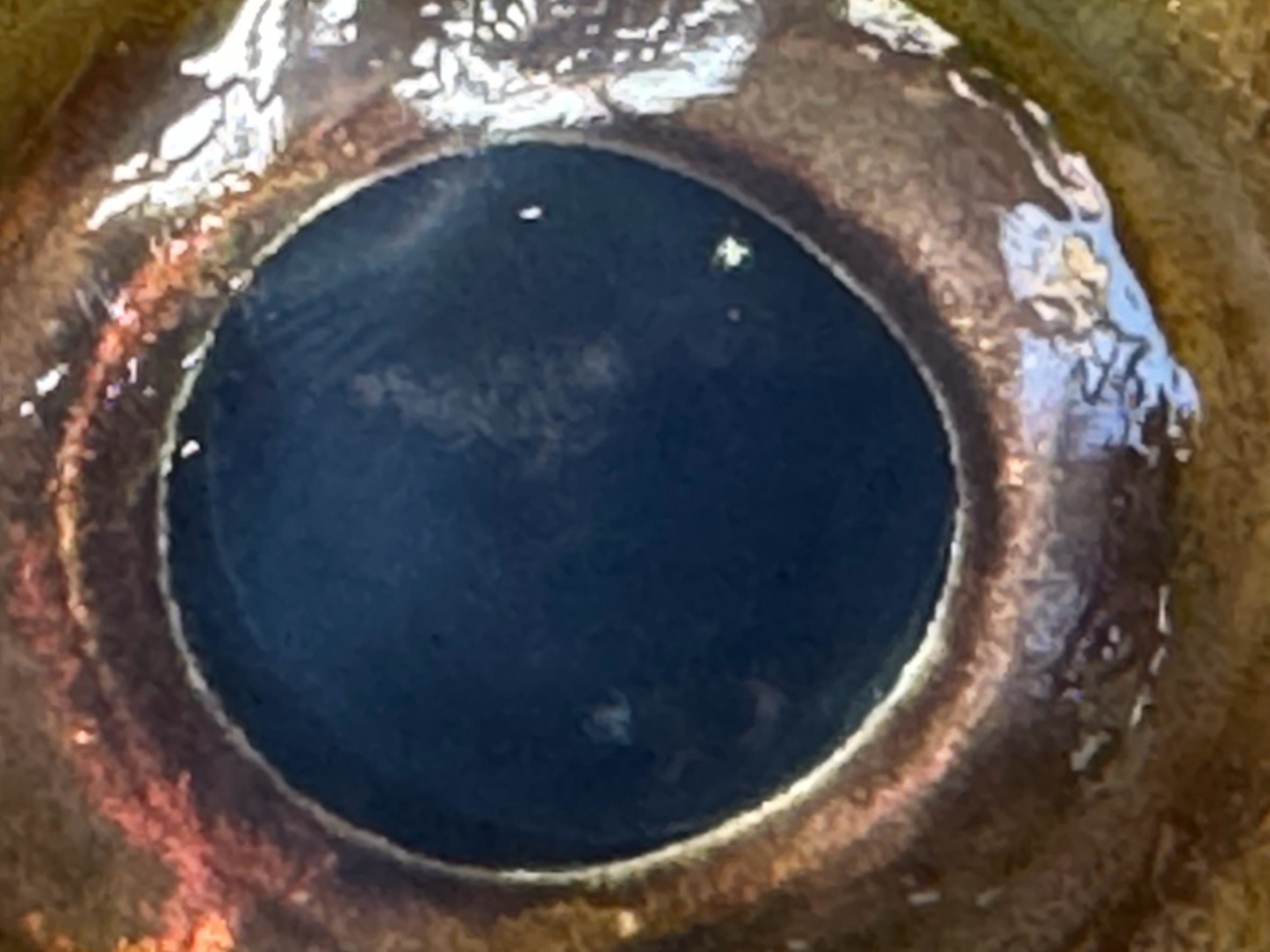 魚の目の特徴説明。釣太郎