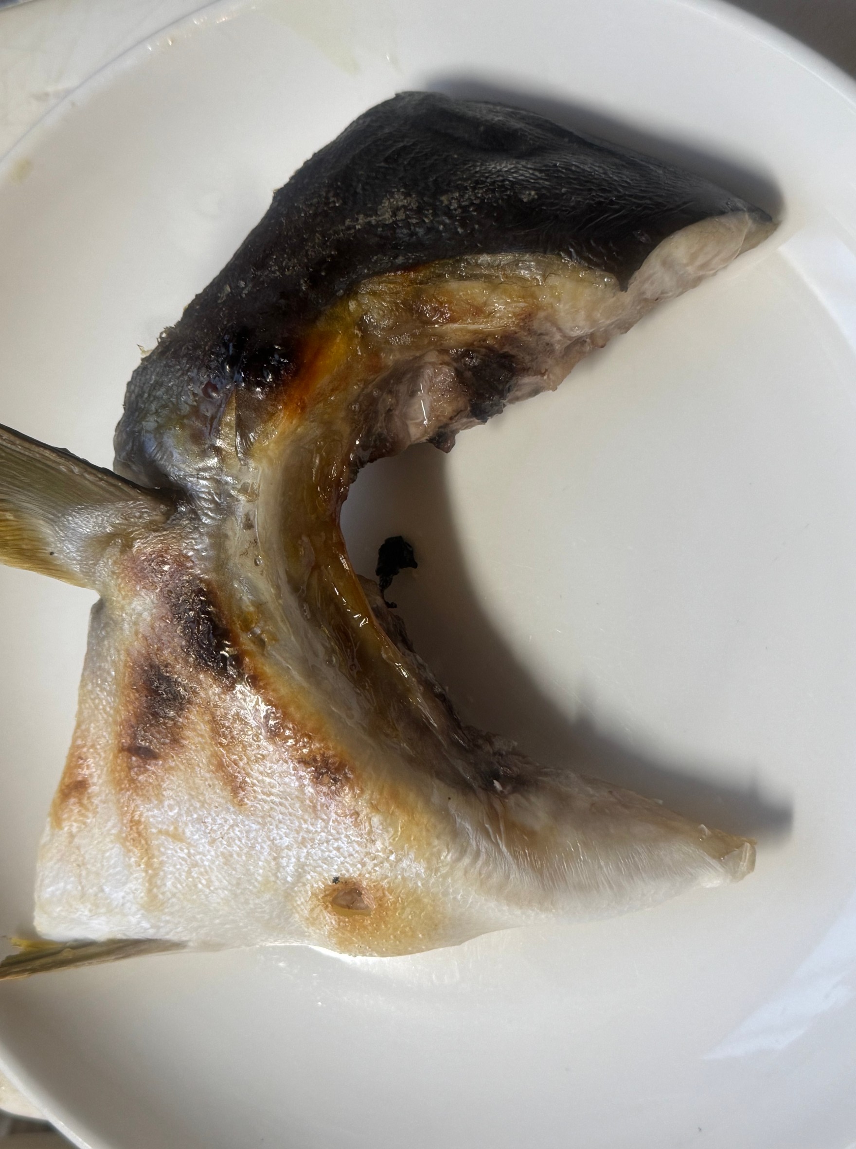 魚のカマの魅力とは?美味しさの秘密と部位の解説。釣太郎