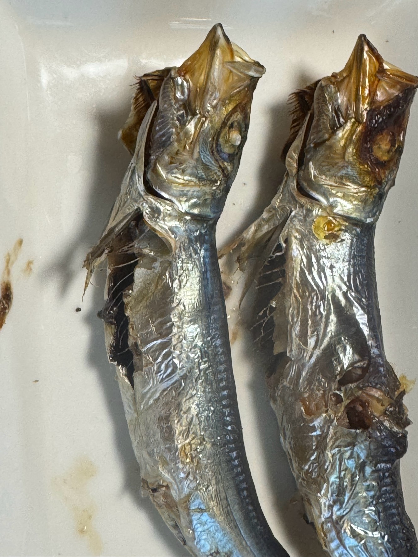 目刺し(イワシの干物)を焼いた際に内臓が割れるかどうかは、鮮度だけでなく、いくつかの要因が複雑に絡み合っています。釣太郎