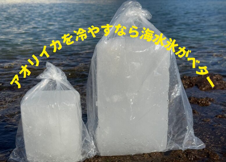 釣ったアオリイカを冷やすなら「海水氷」がおすすめ。釣太郎