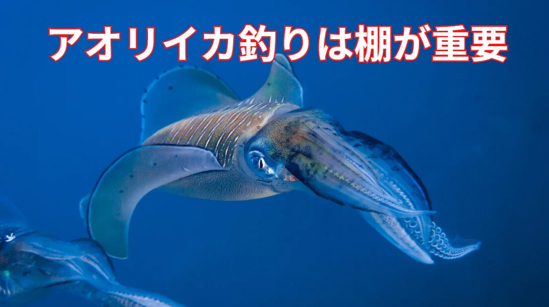アオリイカのウキ釣りやヤエン釣りにおいて、アジとアオリイカの棚を合わせることは非常に重要。釣太郎