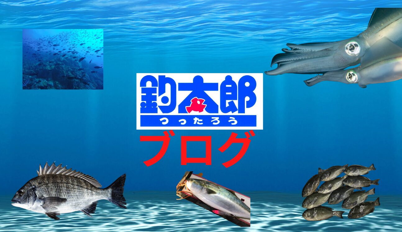 釣太郎ブログは情報満載。毎日見ないとスルーするかも？