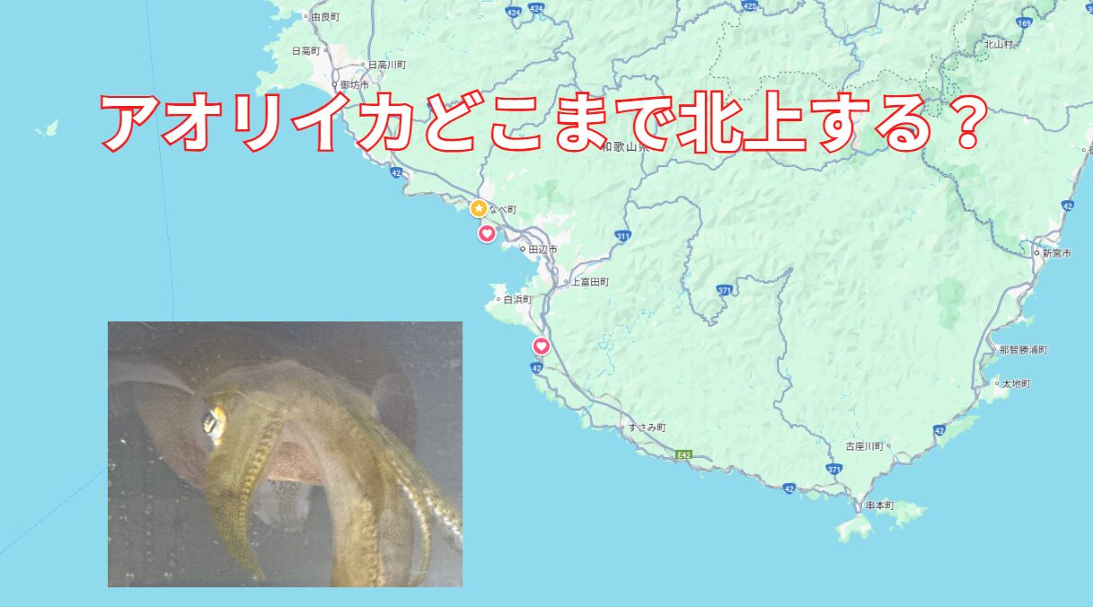 アオリイカは串本町からみなべ町まで移動するのか？移動ルートを徹底考察！釣太郎