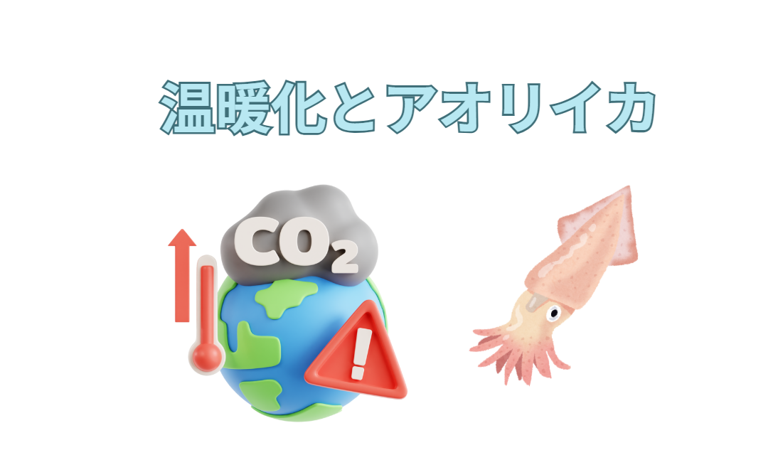 温暖化は南紀のアオリイカ釣りにどんな影響をもたらすだろうか?釣太郎