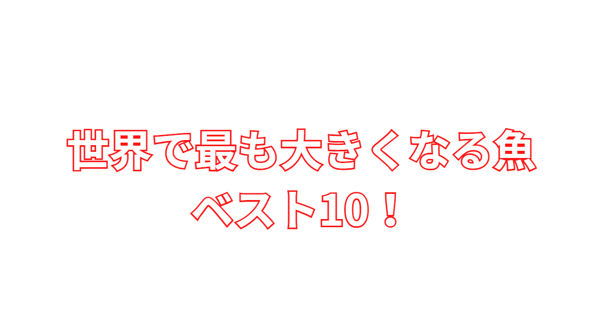 世界で最も大きくなる魚ベスト10!釣太郎