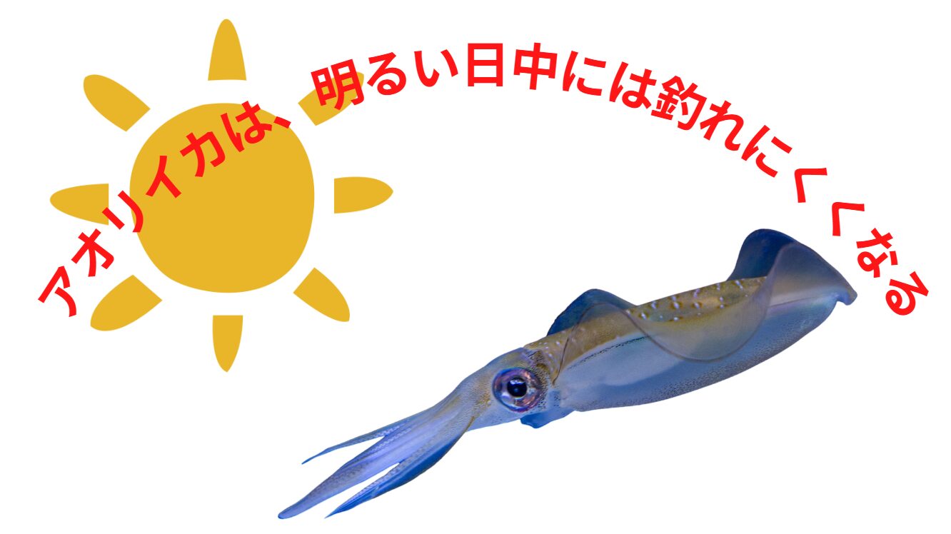 アオリイカは、明るい日中には釣れにくくなる習性を持っています。釣太郎