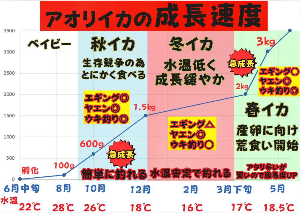 春は3kgアオリイカを狙う大チャンス！南紀は全国有数の絶好ポイント！釣太郎