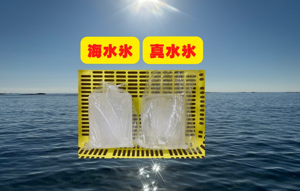 釣った魚を最高の状態で持ち帰るなら、海水氷を使うべし！釣太郎