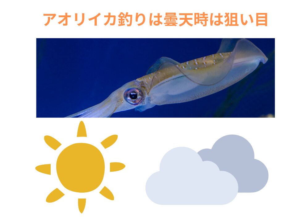 アオリイカ釣りは曇りは好機。釣太郎