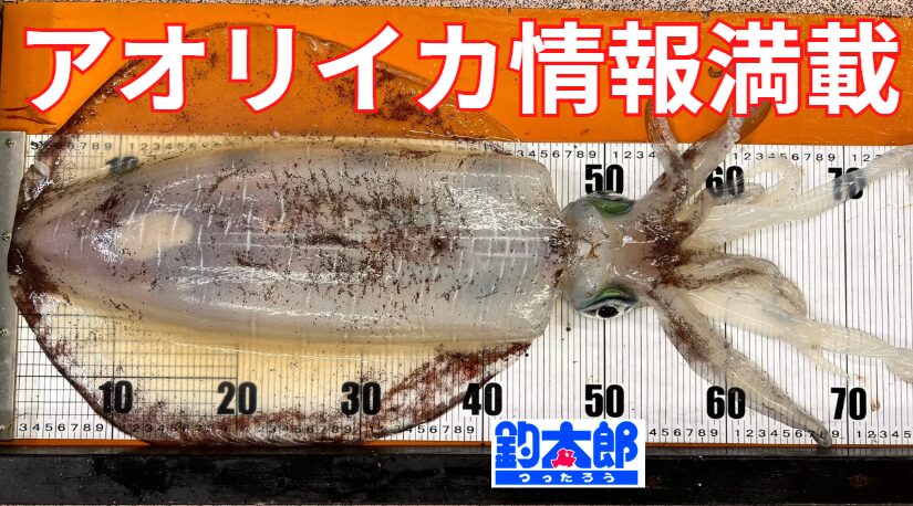 連日アオリイカ情報がいっぱいある釣太郎ブログ。釣人に支持されており1日1万人以上が見られている人気サイト。