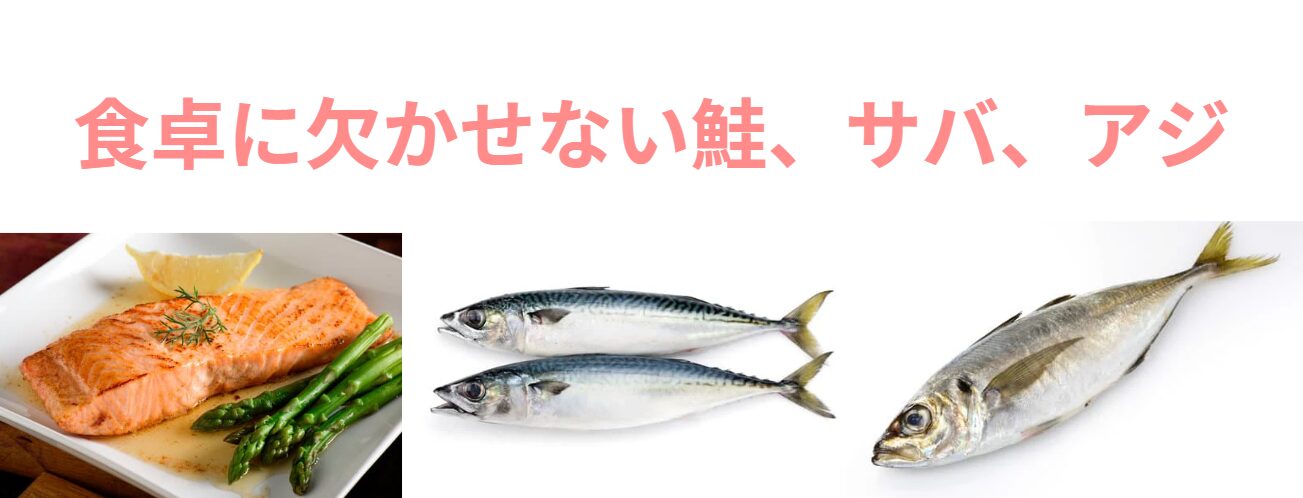 食卓に欠かせない魚として、アジ、サバ、鮭。釣太郎
