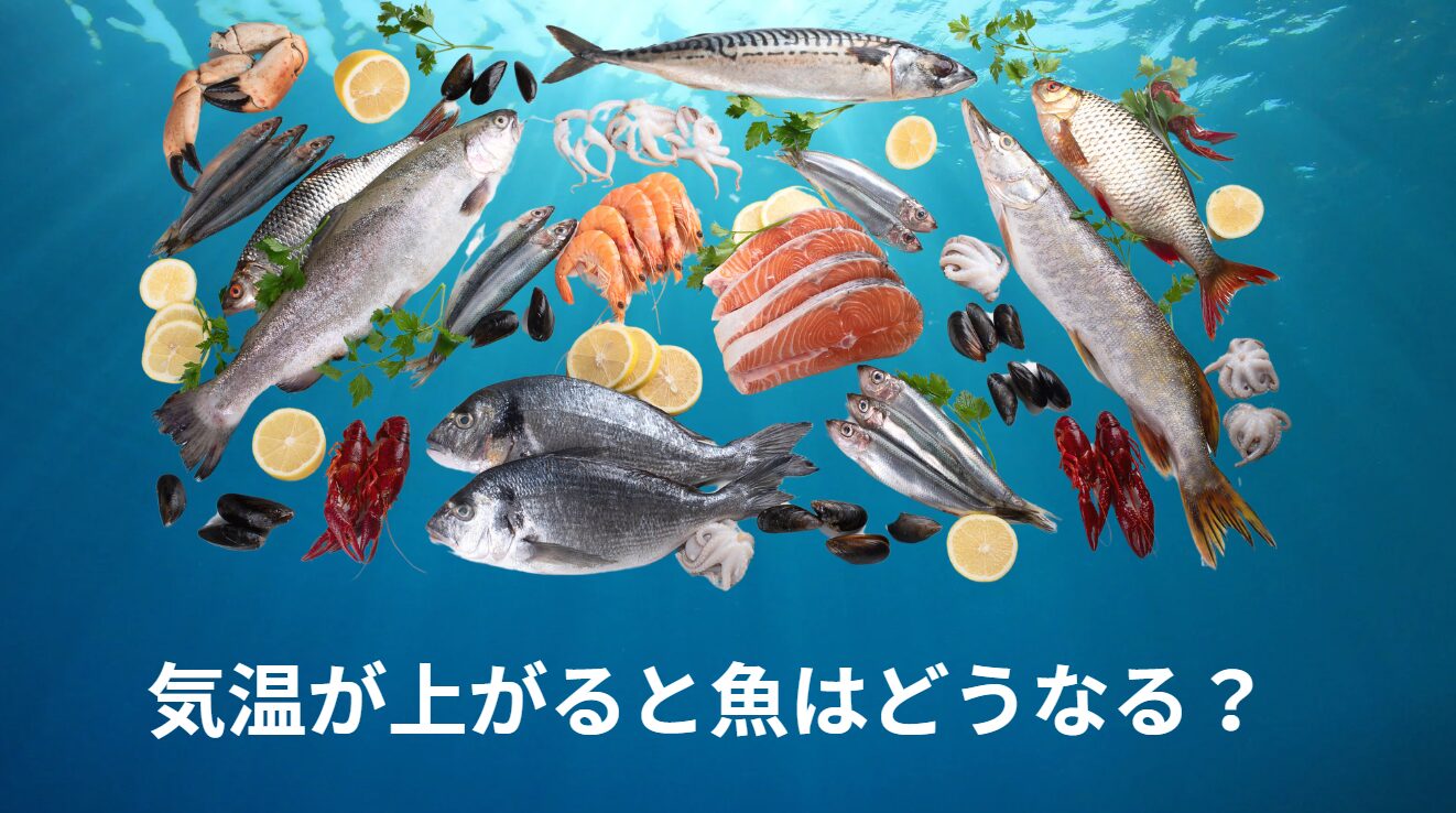 気温上昇と坂の関係説明。釣太郎