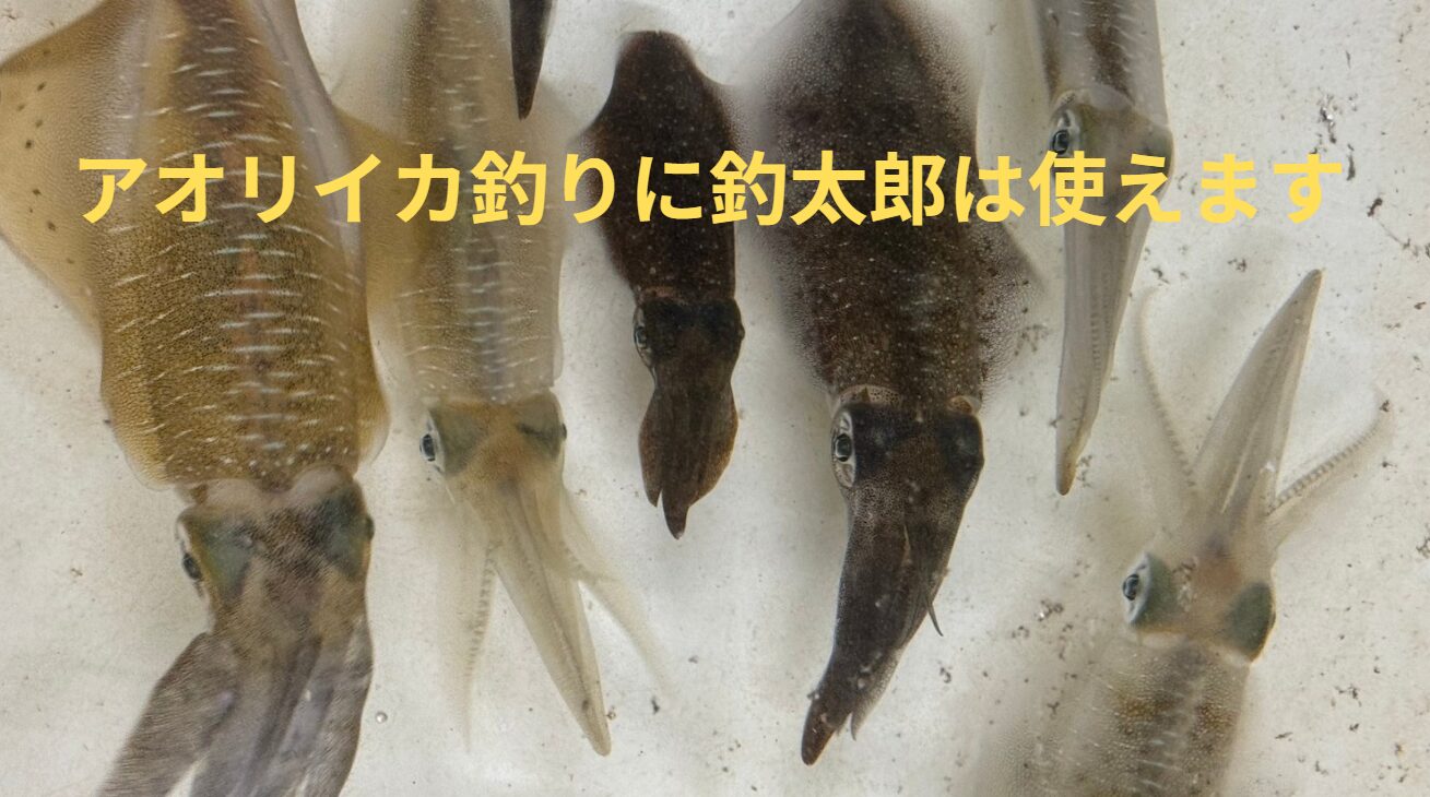 春＝大型アオリイカ釣り＝和歌山南紀＝釣太郎