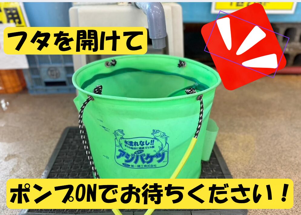 釣太郎での活アジ購入手順！スムーズに受け取るためのポイント！