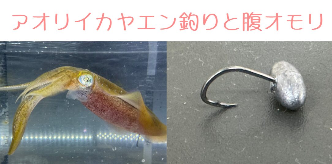 腹オモリは3kgアオリイカ狙いの武器になる！釣太郎