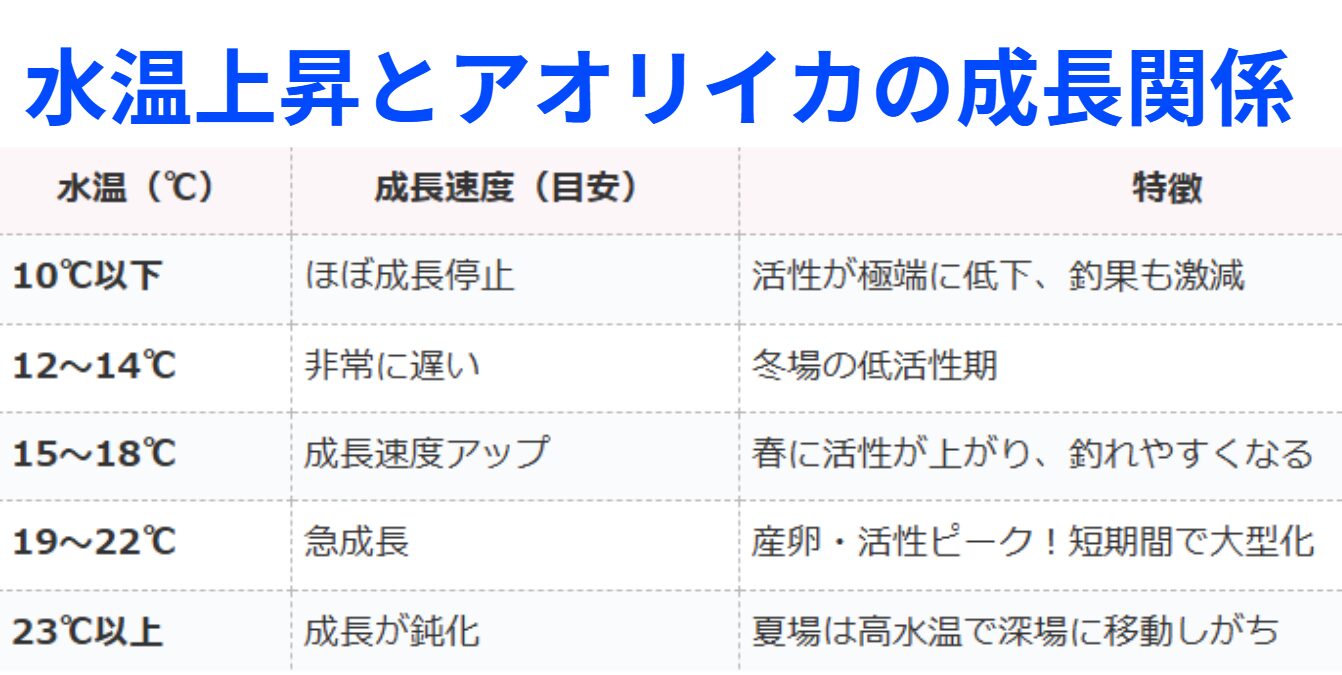 水温上昇とアオリイカの成長関係。釣太郎