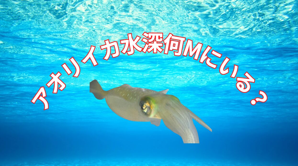 春のアオリイカは水深何メートルに居る？釣太郎