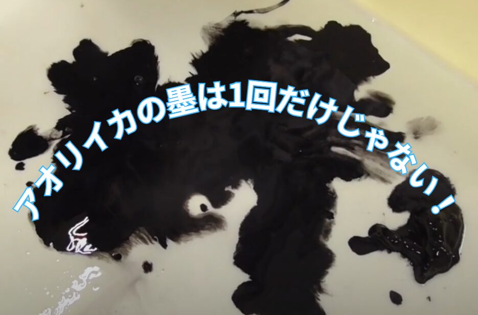 アオリイカは、釣り上げられてからも複数回にわたって墨を吐くことがあります。釣太郎