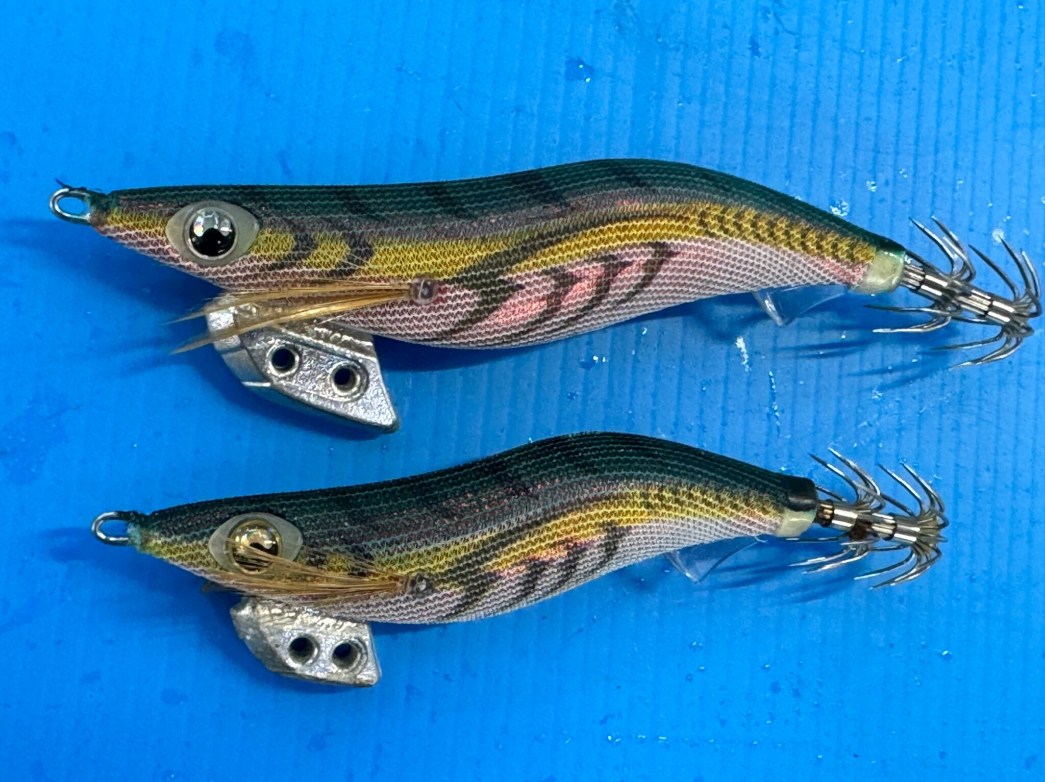 アオリイカ釣りのエギがエビの形をしている理由説明。釣太郎