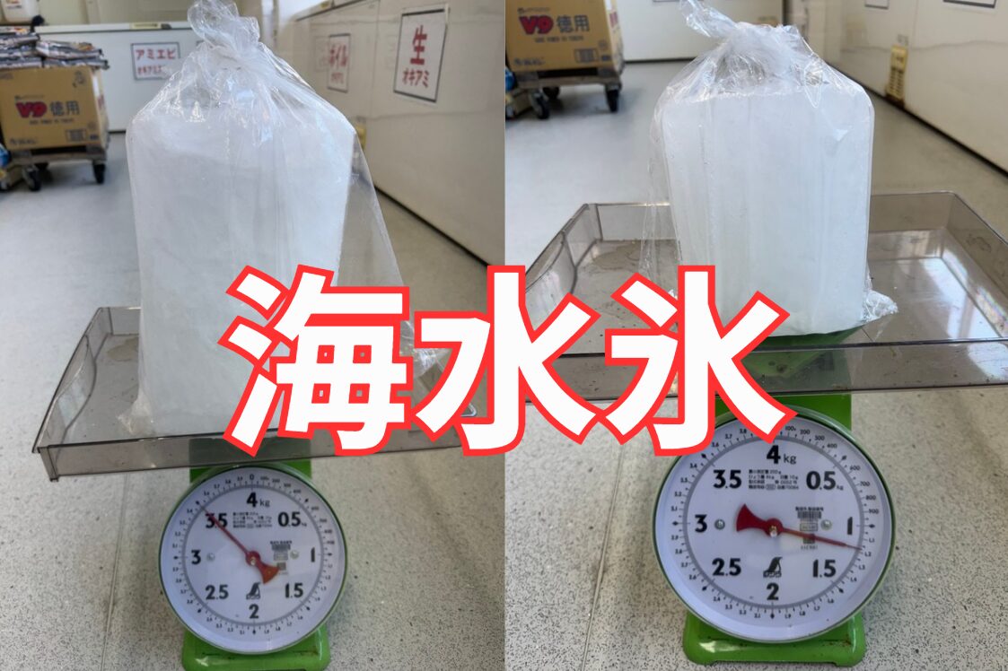 釣太郎と言えば海水氷が名物。魚冷却専用。