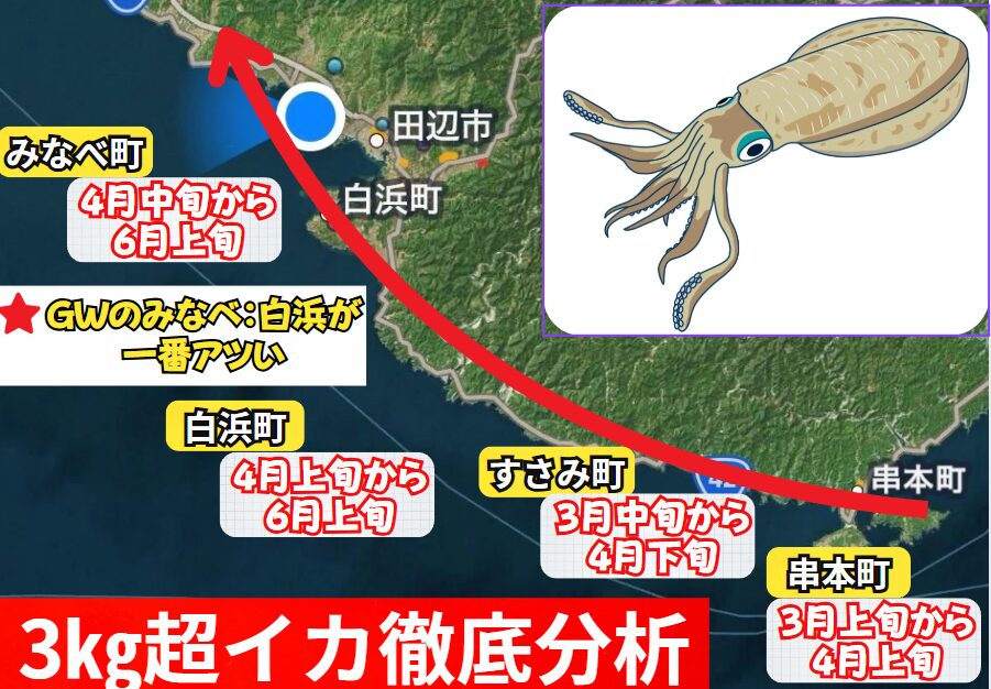 南紀のアオリイカはなぜ水温上昇とともに北上する。釣太郎