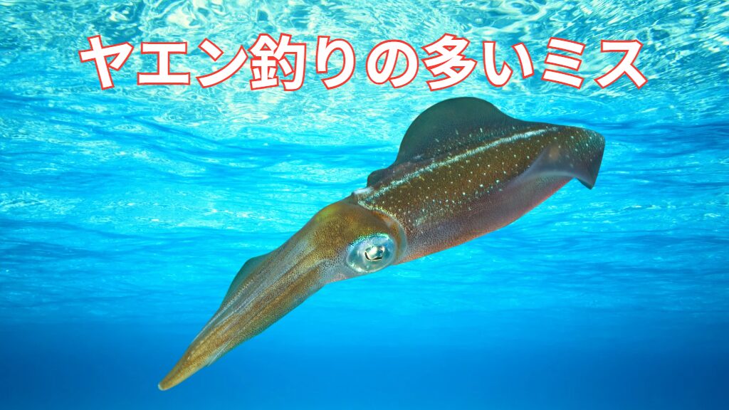 初心者がよくやるアオリイカのヤエン釣りのミス紹介。釣太郎