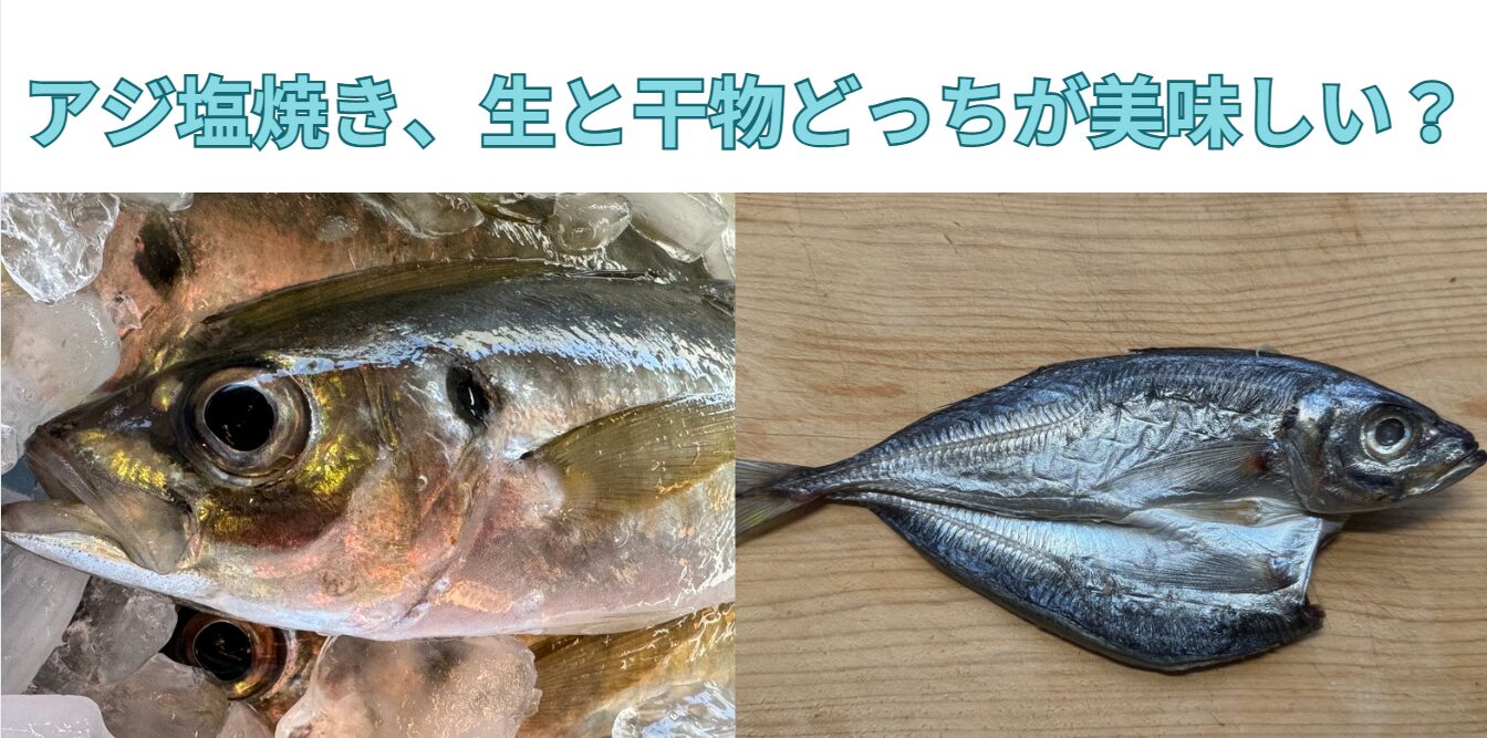 アジを焼くなら、生と干物どっちが美味しい?釣太郎