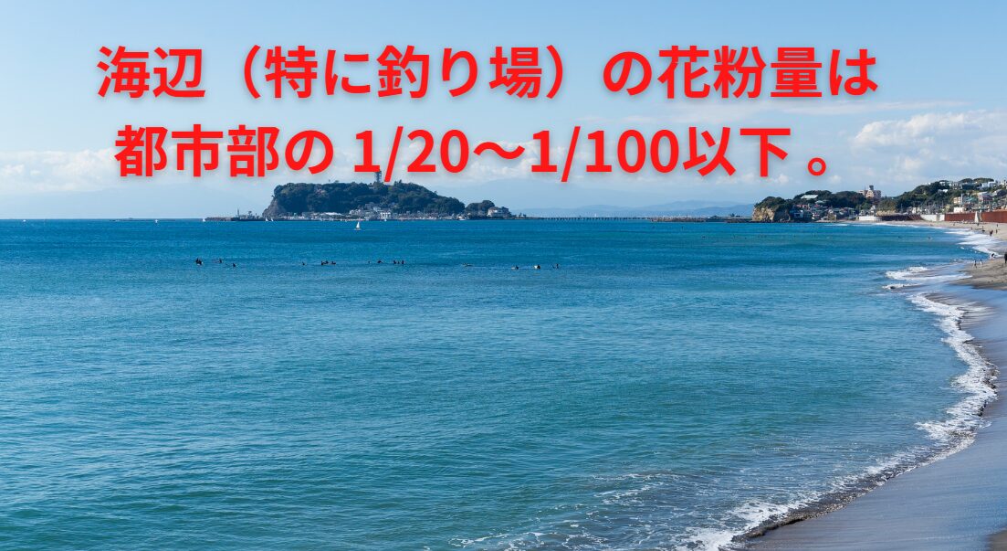 海辺(特に釣り場)の花粉量は、都市部の 1/20~1/100以下 。釣太郎
