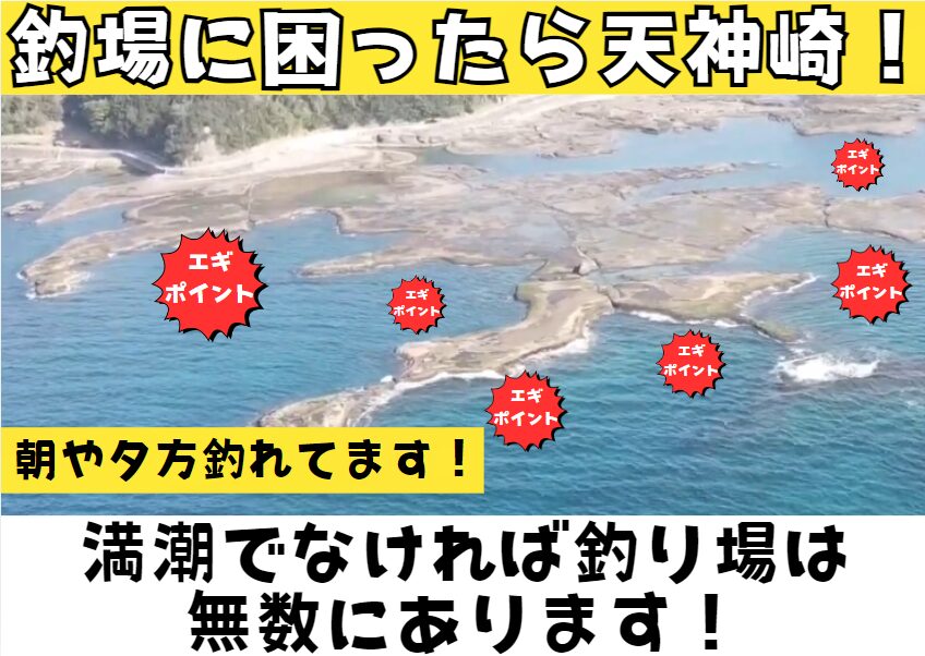 和歌山県田辺市天神崎はアオリイカ釣りの最大スポット。釣太郎