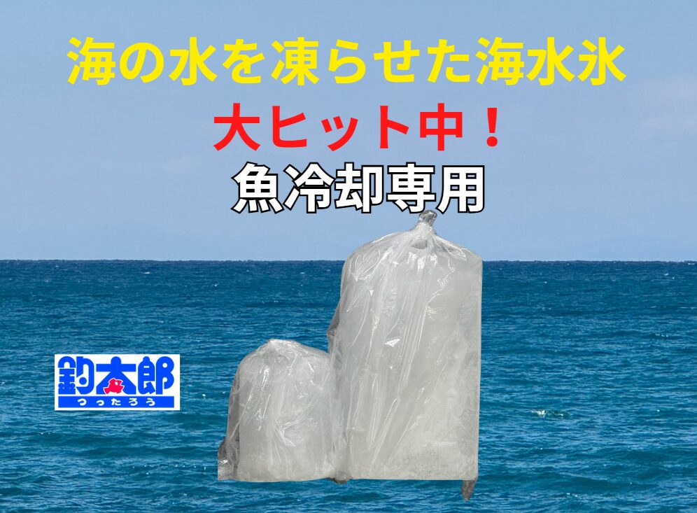 大ヒット中の海水氷は、海の水を凍らせたものなので、魚にも優しい。釣太郎