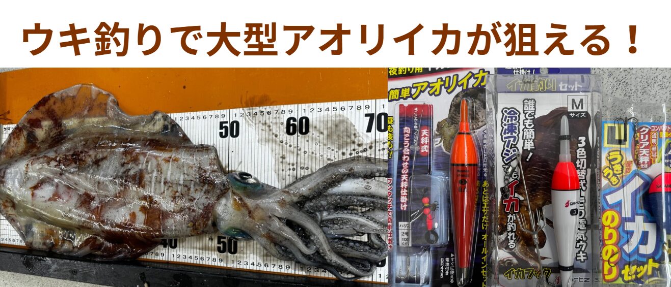 【南紀の春限定】大型アオリイカを仕留める!ウキ釣り(泳がせ釣り)戦略完全ガイド。釣太郎
