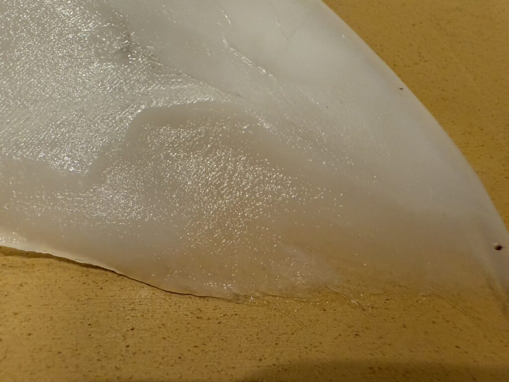 アオリイカを冷凍する際のポイント説明。釣太郎