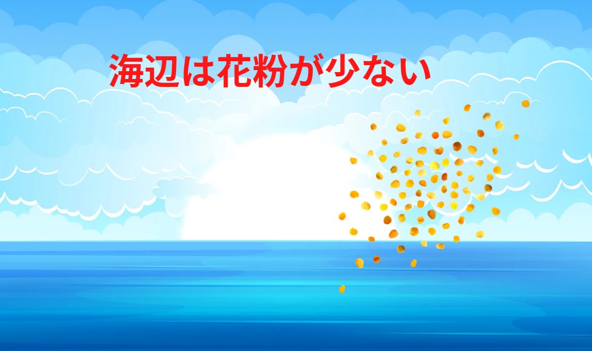 海辺に出ると花粉症が楽になる時が多い。釣太郎