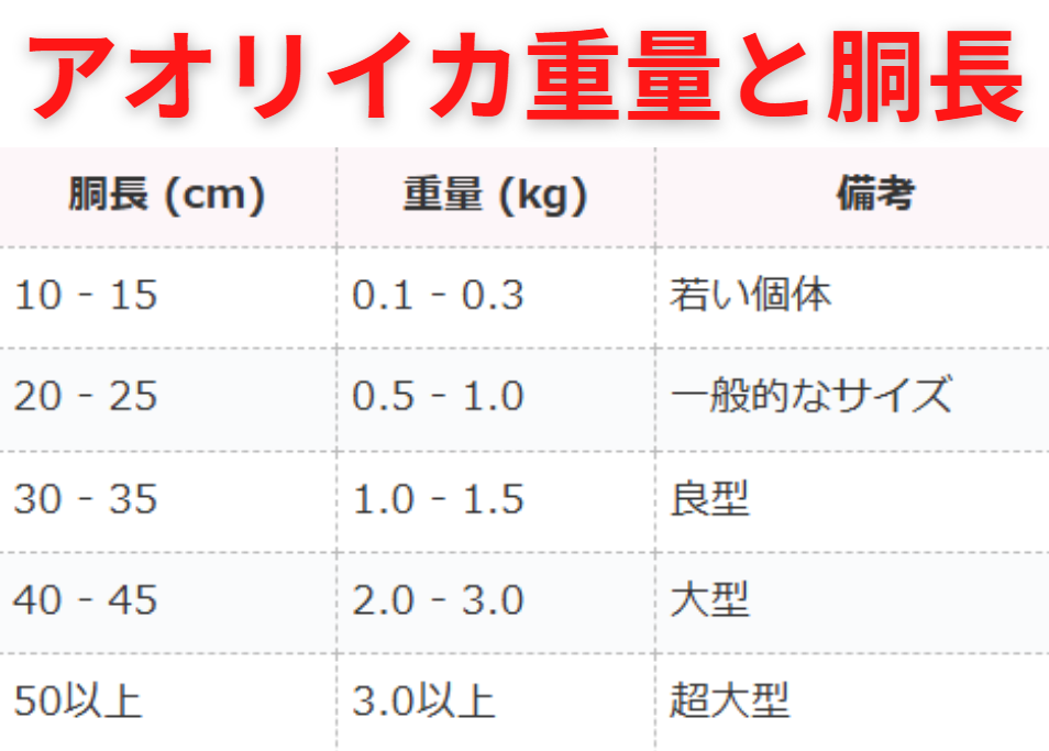 【アオリイカの重量と胴長の関係一覧表】釣り人必見!釣太郎