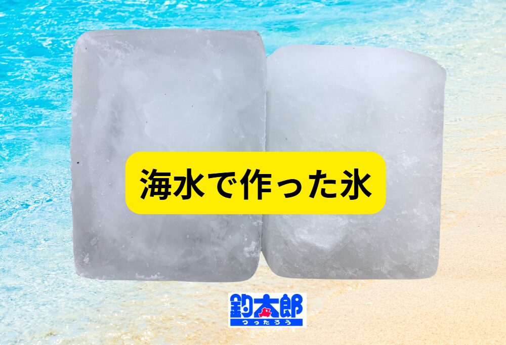 海水で作った海水氷は、魚だけでなくアオリイカの冷却にも有効。釣太郎