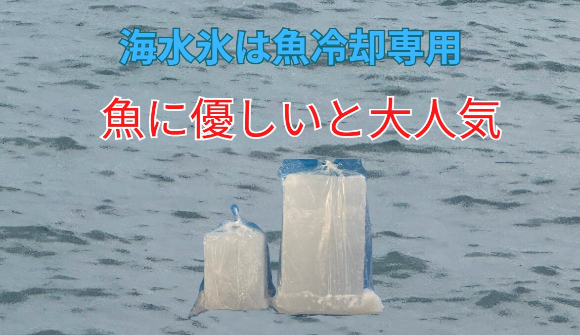 海水で作った海水氷は釣太郎名物。魚冷却専用だが、釣り人に圧倒的な人気がある。
