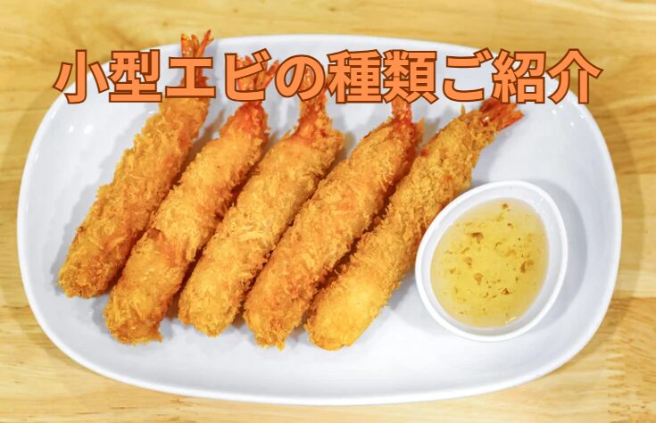 バナメイエビ・ブラックタイガー・クルマエビ・赤エビ・その他小型エビを徹底紹介！釣太郎