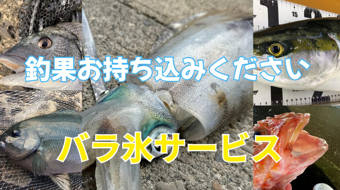 魚種サイズ問わず、釣ったら重し込み下さい。お待ちしています。釣太郎