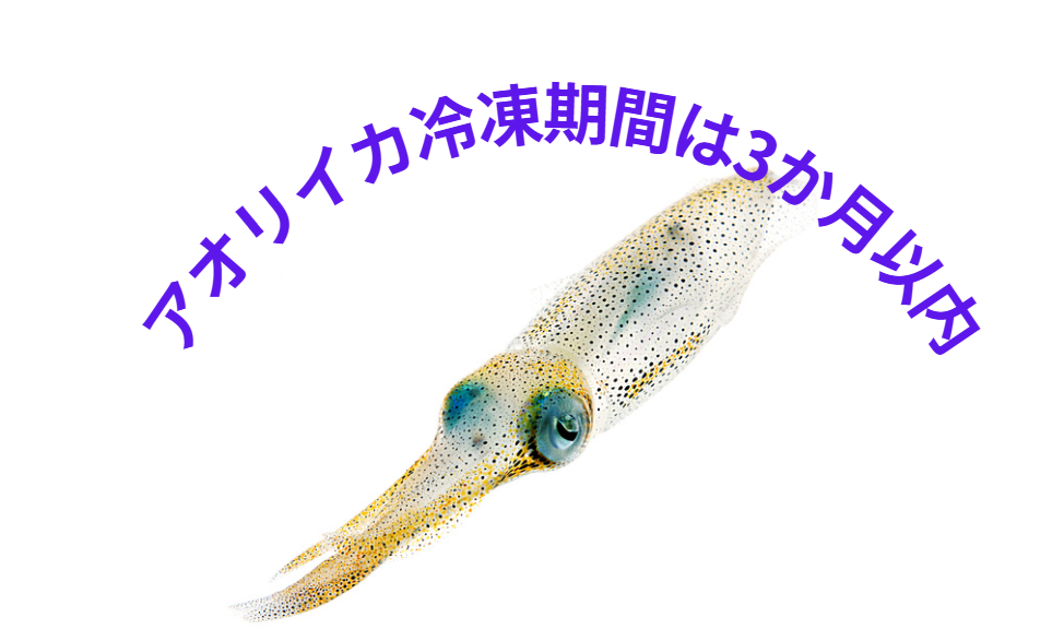 ご家庭でのアオリイカの冷凍は3か月を目途に。釣太郎