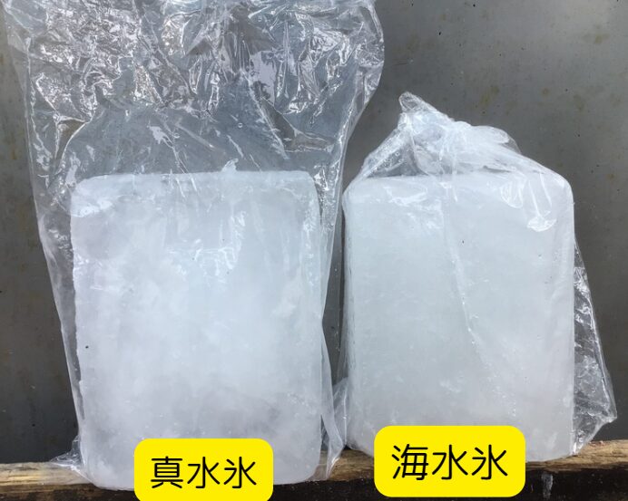 【初心者向け】釣った魚はなぜ氷で冷やすの?海水氷と真水氷の違いも解説!釣太郎