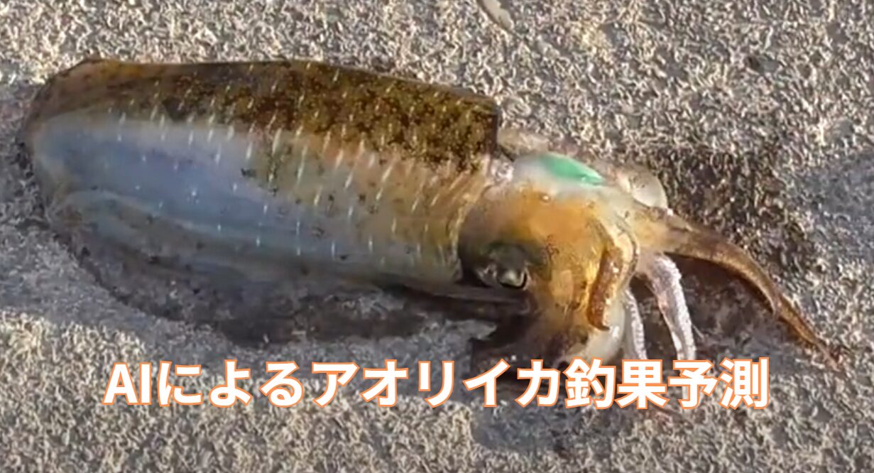 ChatGPTに夜明日のアオリイカ釣果予測。精度はどれくらい？釣太郎