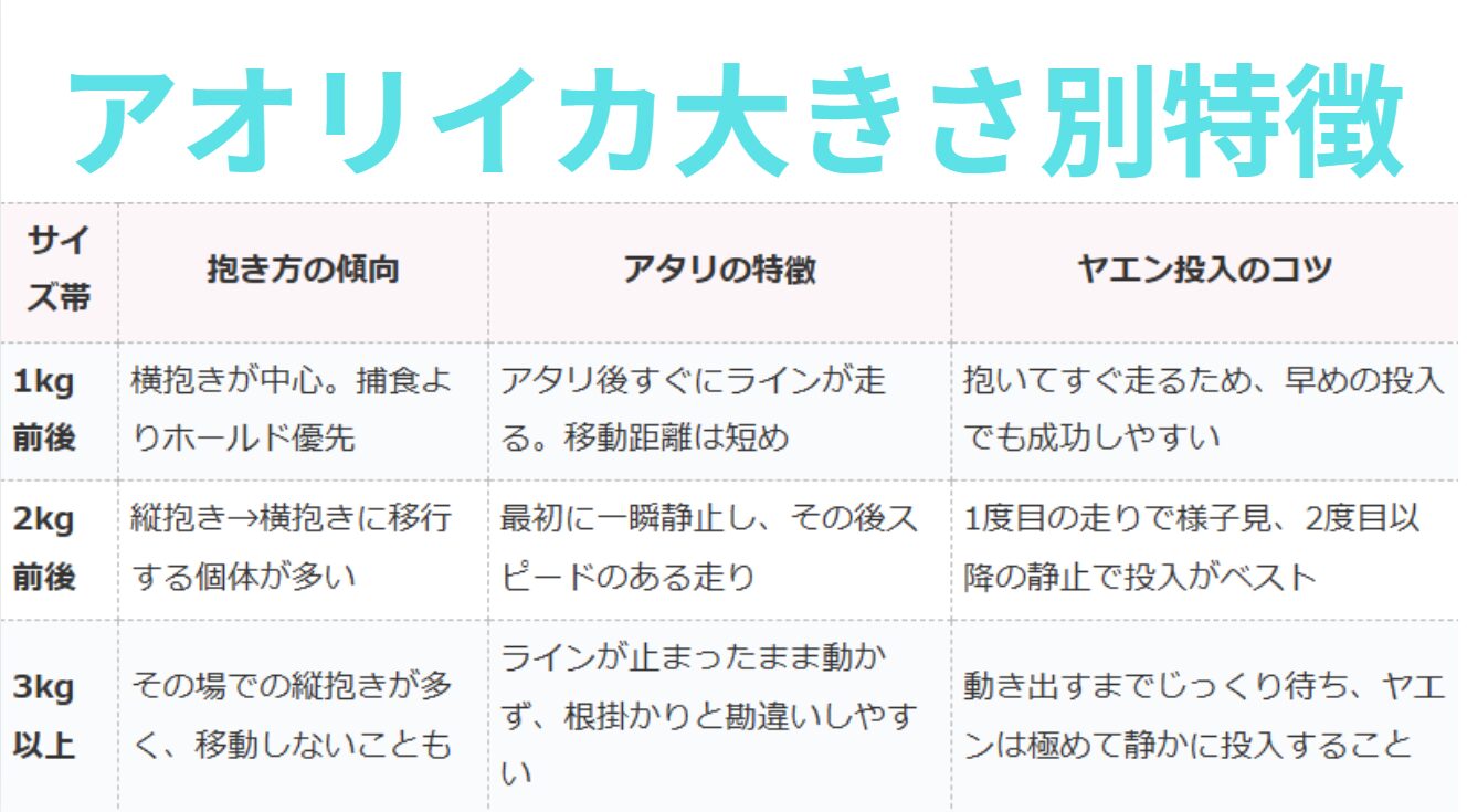 アオリイカサイズ別特徴。釣太郎