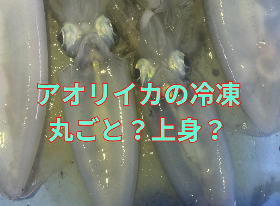 アオリイカ「まるごと冷凍」と「上身冷凍」の違いを徹底比較!釣太郎