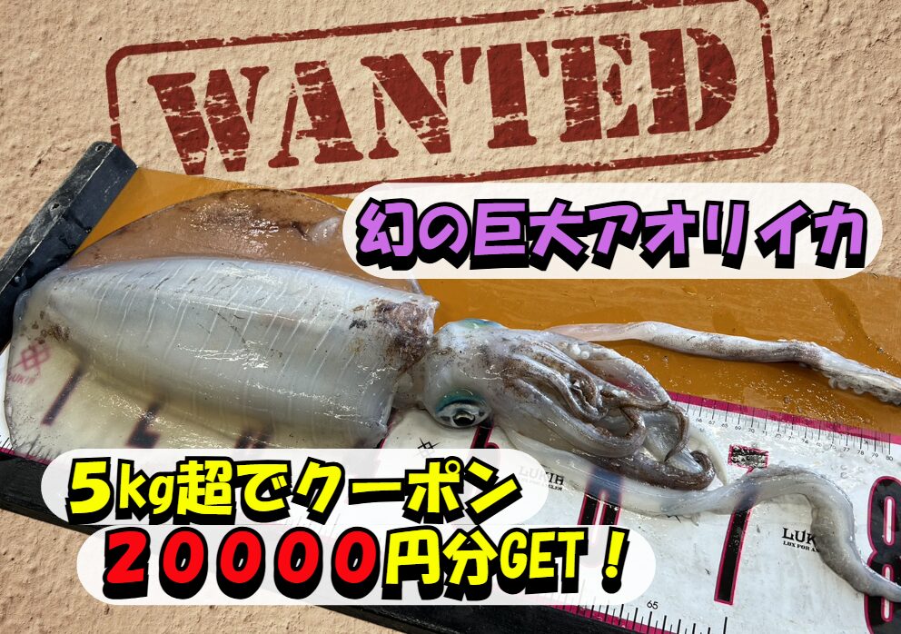 アオリイカ5キロ超過持ち込みなら2万円クーポン券プレゼント。釣太郎